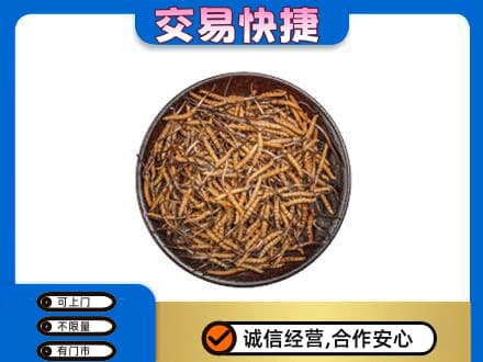 榆林神木市高价回收散虫草